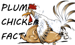 Plump Chicken Factory